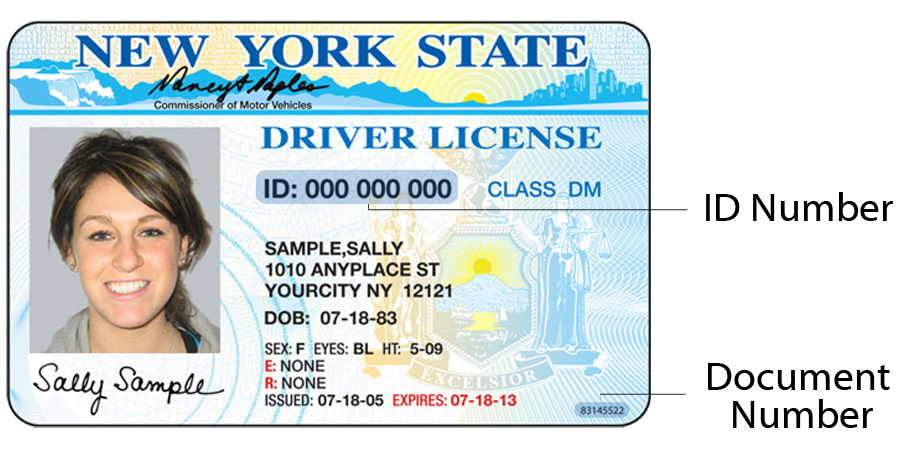 All 50 Driver License Format